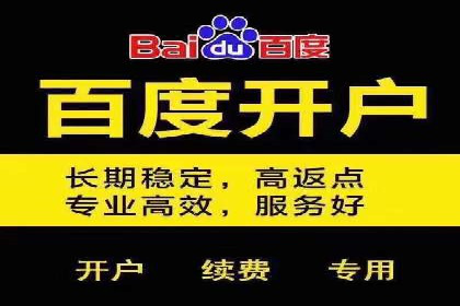 百度竞价广告的收费透明度与效果评估案例